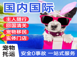 涟水航空物流国际宠物托运 【国